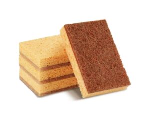 Sponge Dish Washing