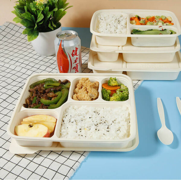 Compartment Microwave Safe Lunch Box