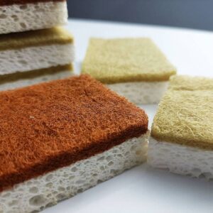 Coconut cellulose Sponge