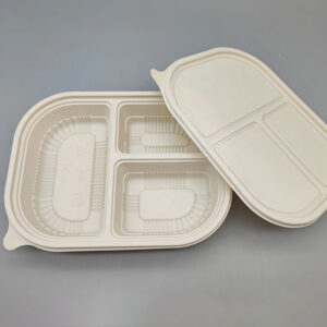 Compartment Microwave Safe Lunch Box